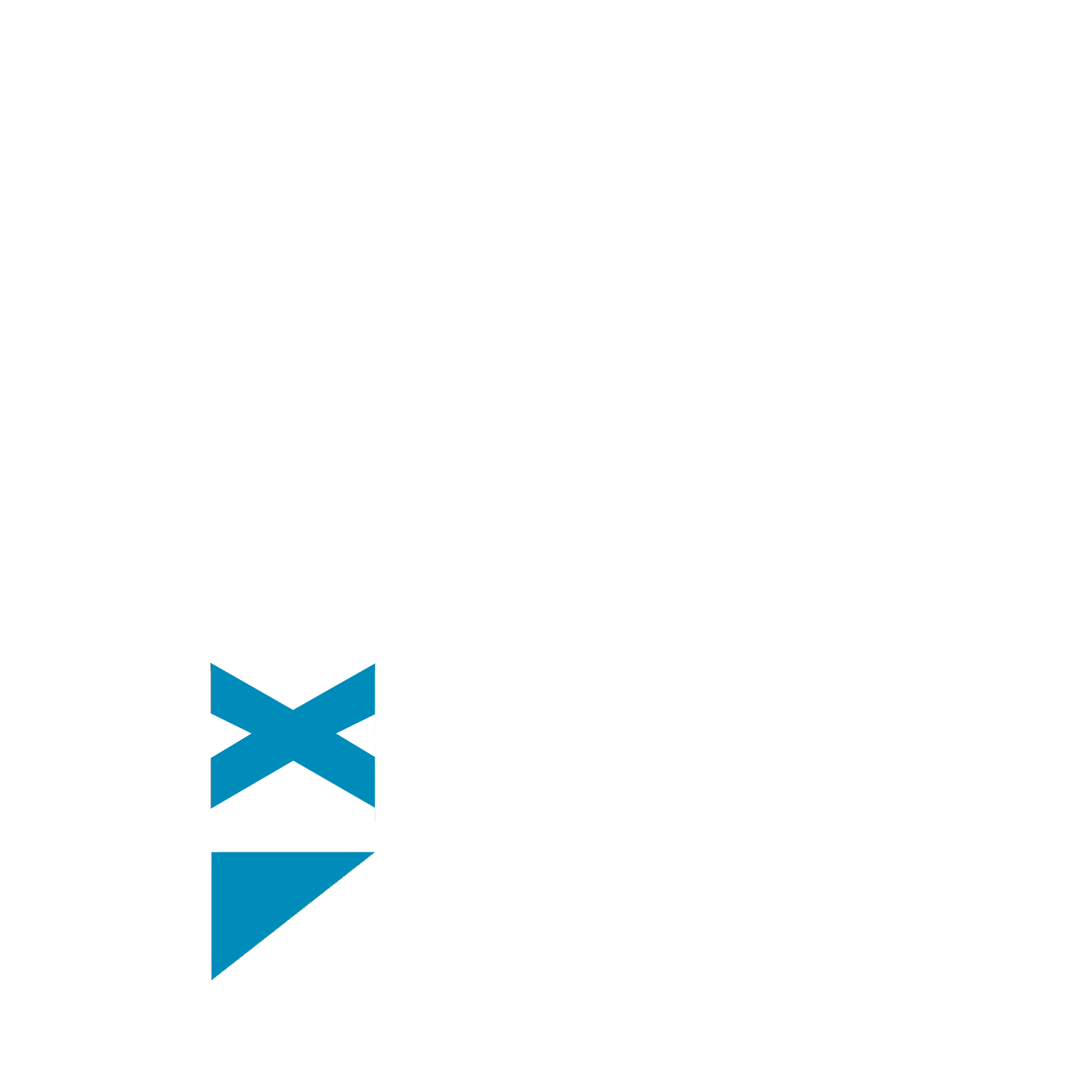 Praxeum Publishing Logo